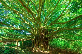 Image 11-22-24 at 2.38 PM